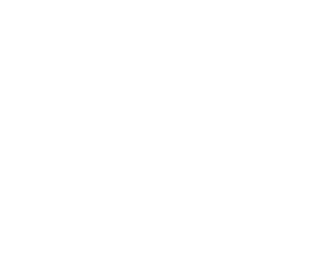 MOTSOA